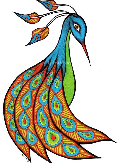 peacock drawing|free drawings of peacocks.